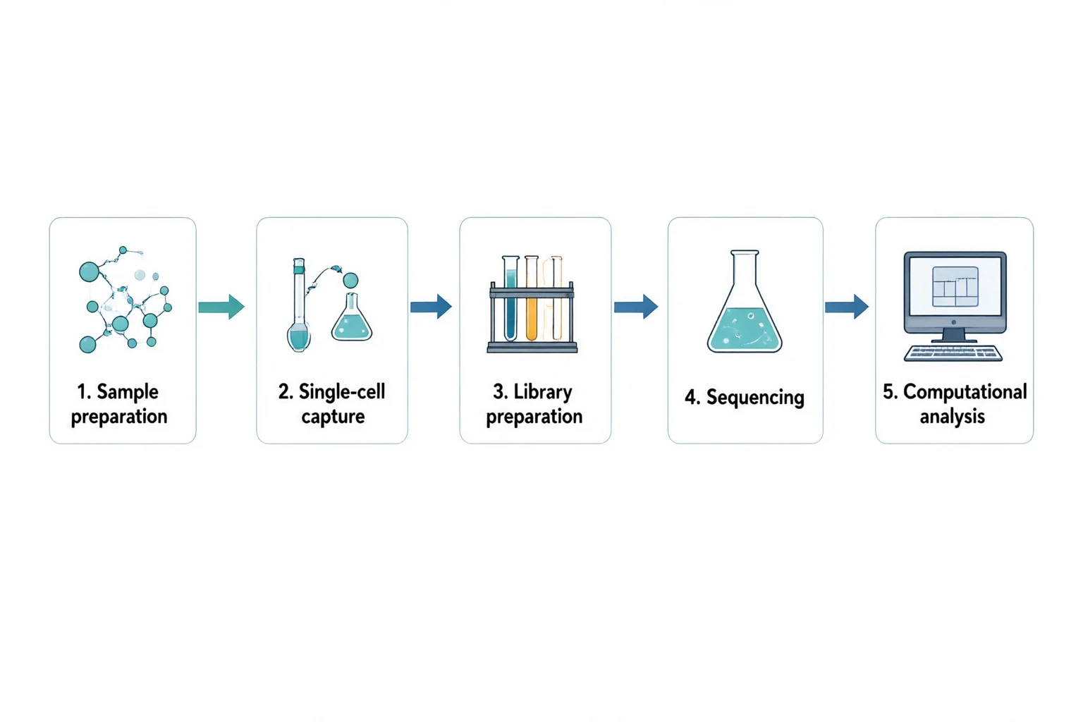 Five panels connected left to right: sample preparation, single-cell capture, library preparation, sequencing and computational analysis.